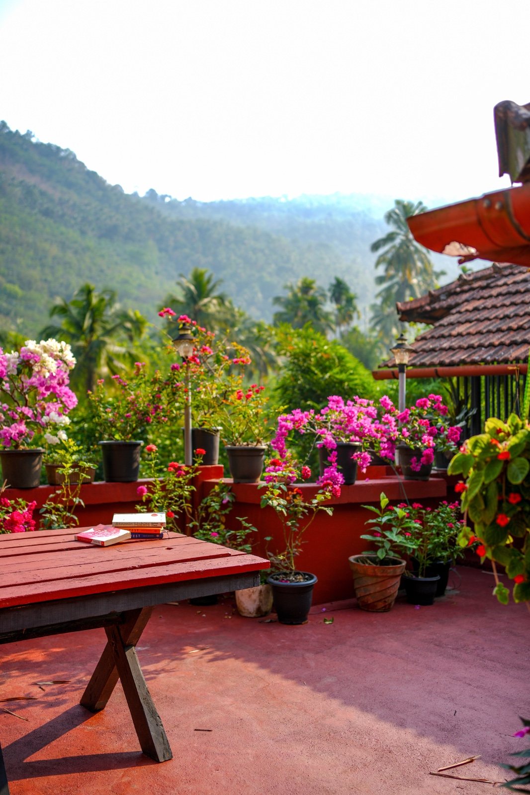 Shony's Home gallery image